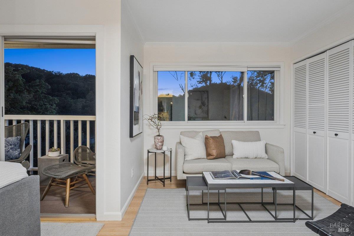 1036 Lea Drive San Rafael, CA 94903 - Photo 37 of 88 a living room with furniture a rug and a window