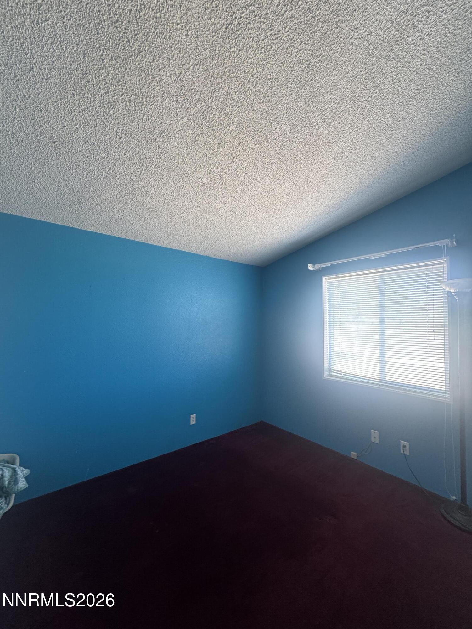3525 Soda Lake Road Fallon, NV 89406 - Photo 22 of 26 IMG_3380