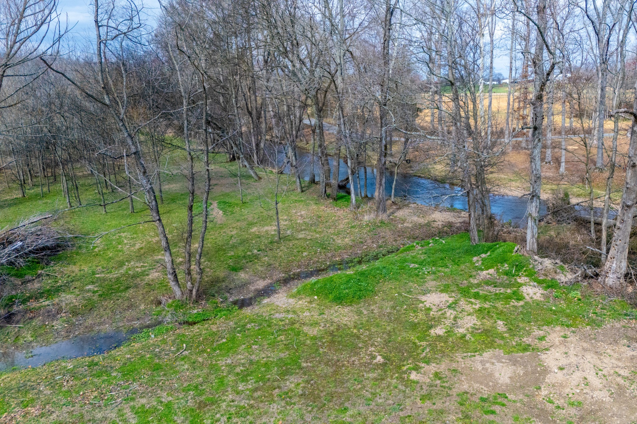 153 Lewis Road Morrison, TN 37357 - Photo 8 of 45 a view of a backyard