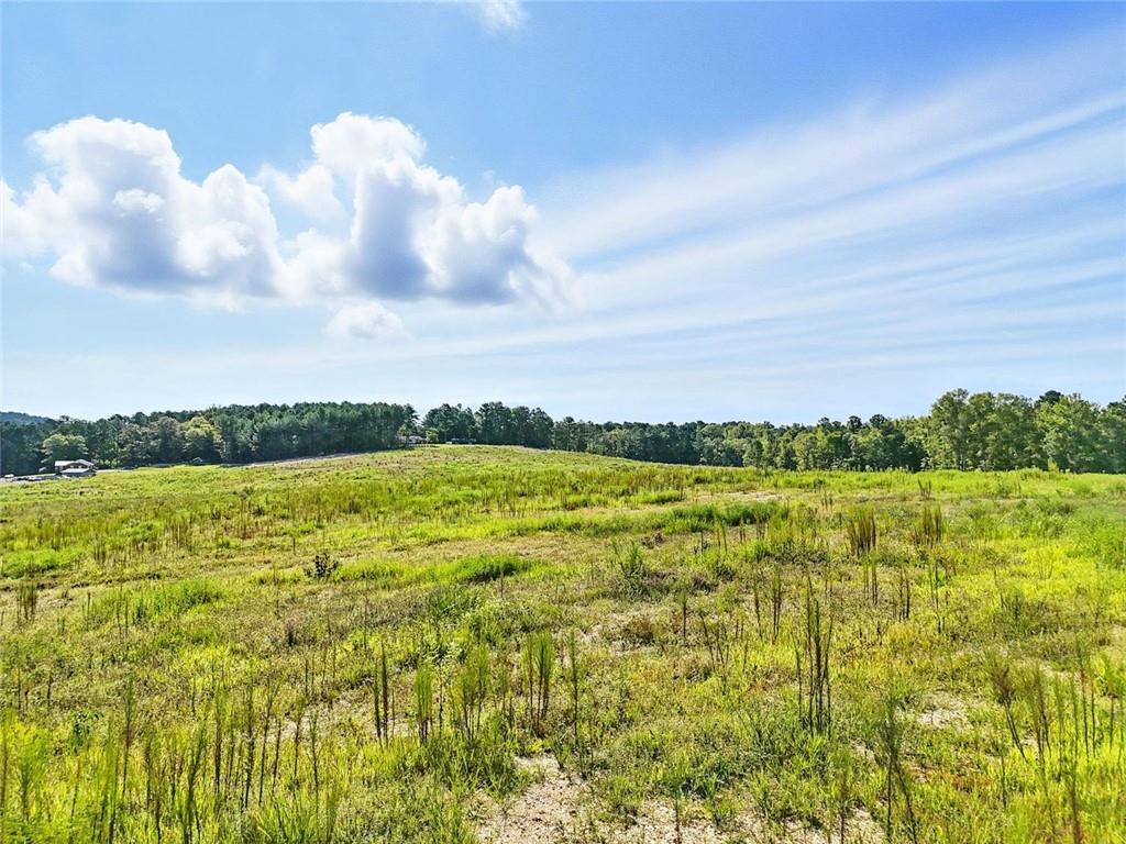 851 Barnsley Garden Road Adairsville, GA 30103 - Photo 11 of 17 a view of a lake view