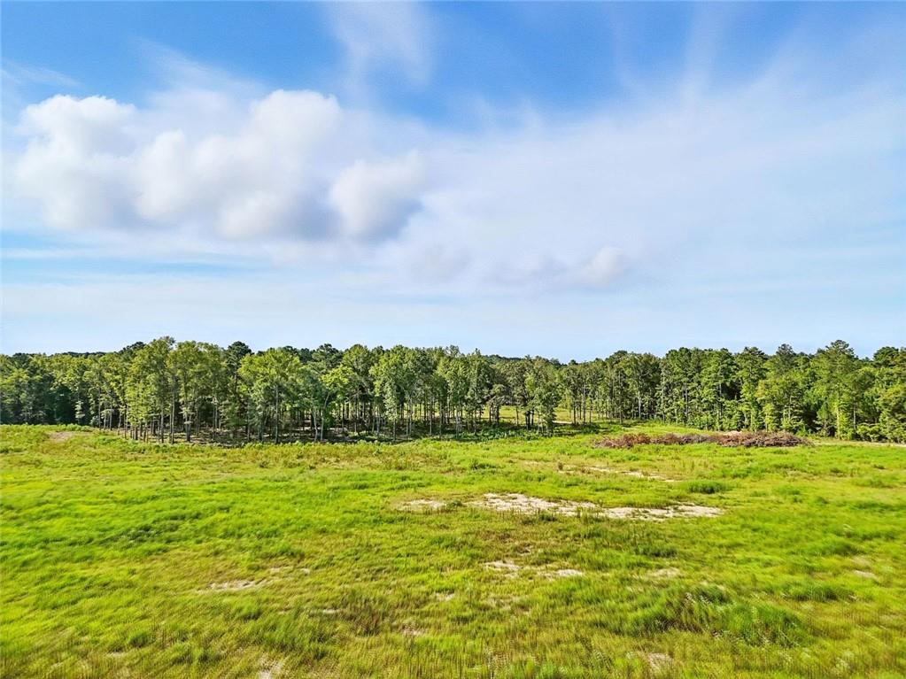 851 Barnsley Garden Road Adairsville, GA 30103 - Photo 13 of 17 a view of a field with an ocean in the background