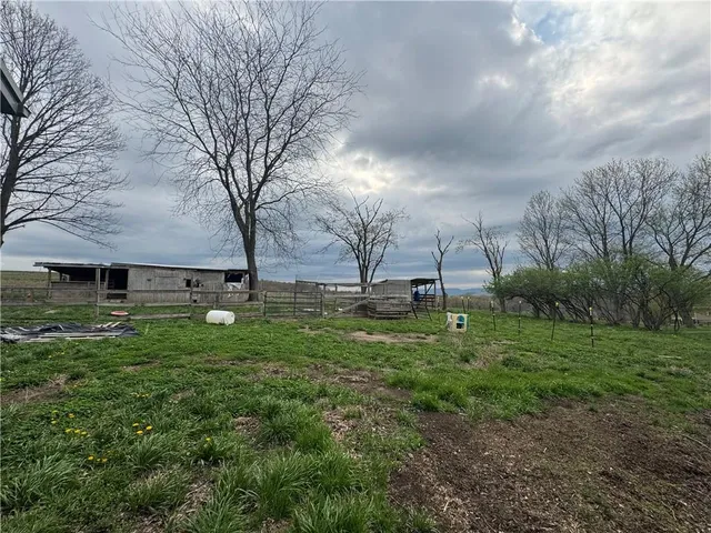 a view of yard with trees