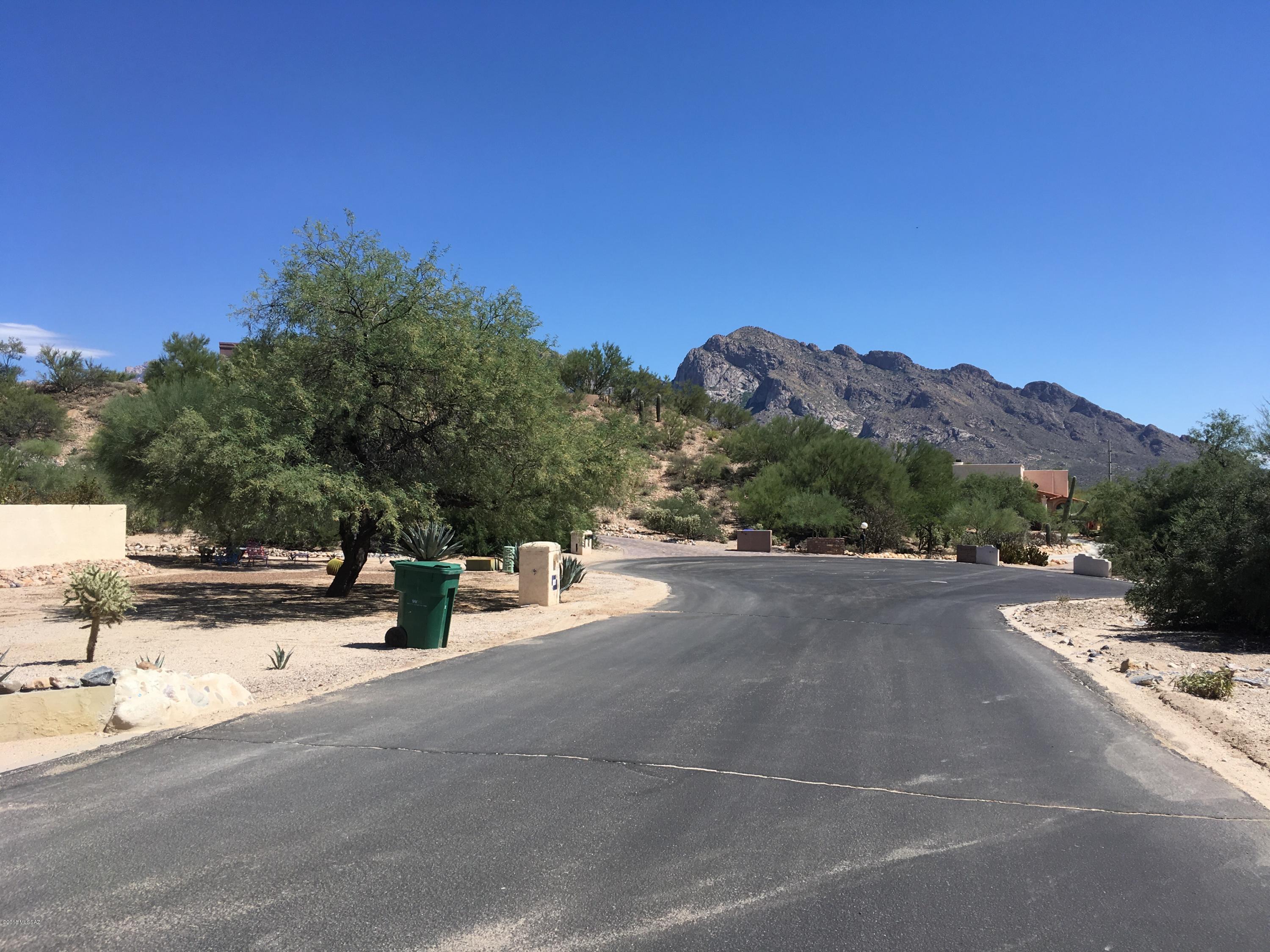 830 Pomegranate Circle, Unit 162 Tucson, AZ 85737 - Photo 1 of 1