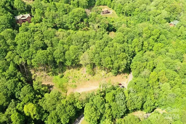 a view of a bunch of trees