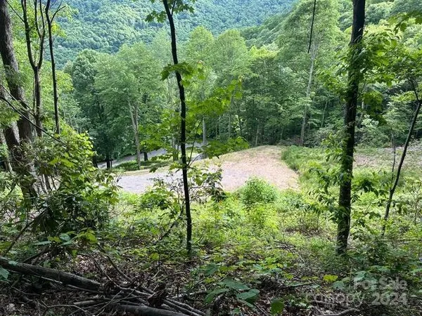 a view of a yard
