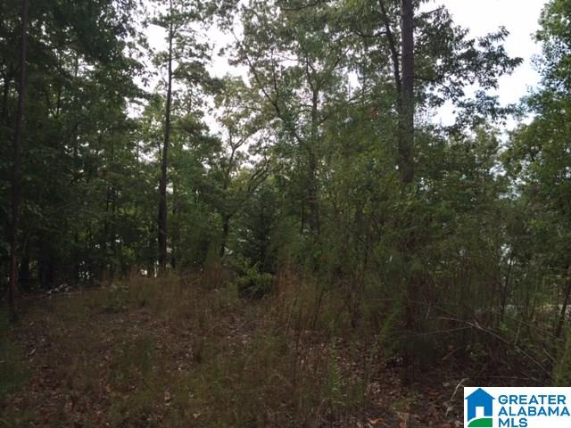 3291 County Road Wedowee, AL 36278 - Photo 5 of 7