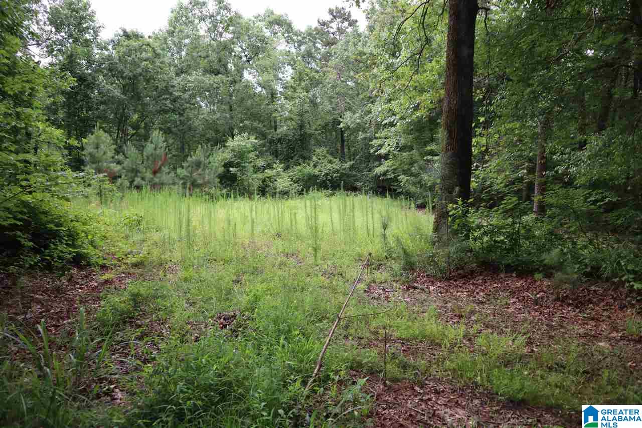 0 County Road 61, Unit 366 92 ACRES Fruithurst, AL 36262 - Photo 14 of 26