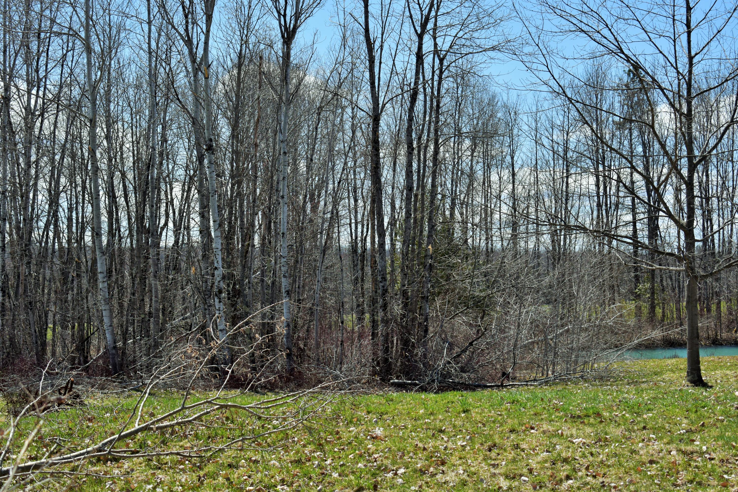 75 West Barker Road Corinna, ME 04928 - Photo 3 of 21 3