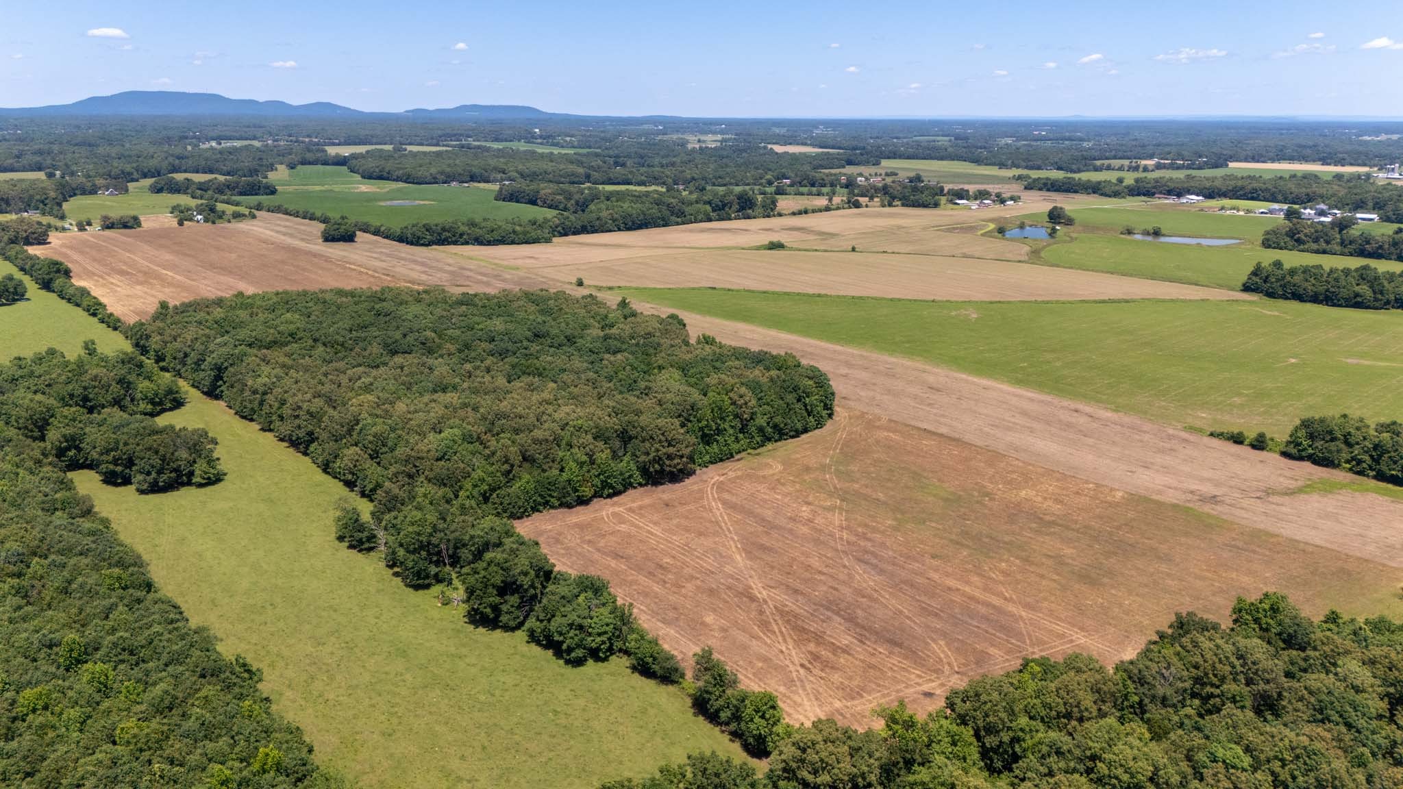 0 Brown Road Woodbury, TN 37190 - Photo 16 of 34