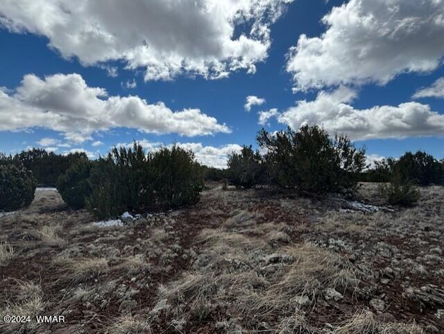 68 8114 Concho, AZ 85924 - Photo 2 of 7 thumbnail_IMG_1595