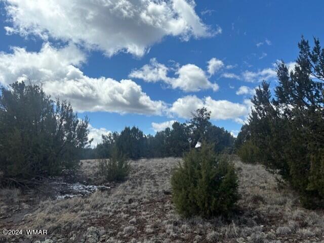 68 8114 Concho, AZ 85924 - Photo 3 of 7 thumbnail_IMG_1596