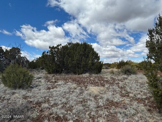 68 8114 Concho, AZ 85924 - Photo 5 of 7 thumbnail_IMG_1598