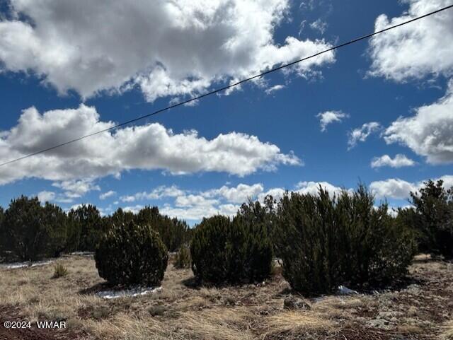 68 8114 Concho, AZ 85924 - Photo 6 of 7 thumbnail_IMG_1599