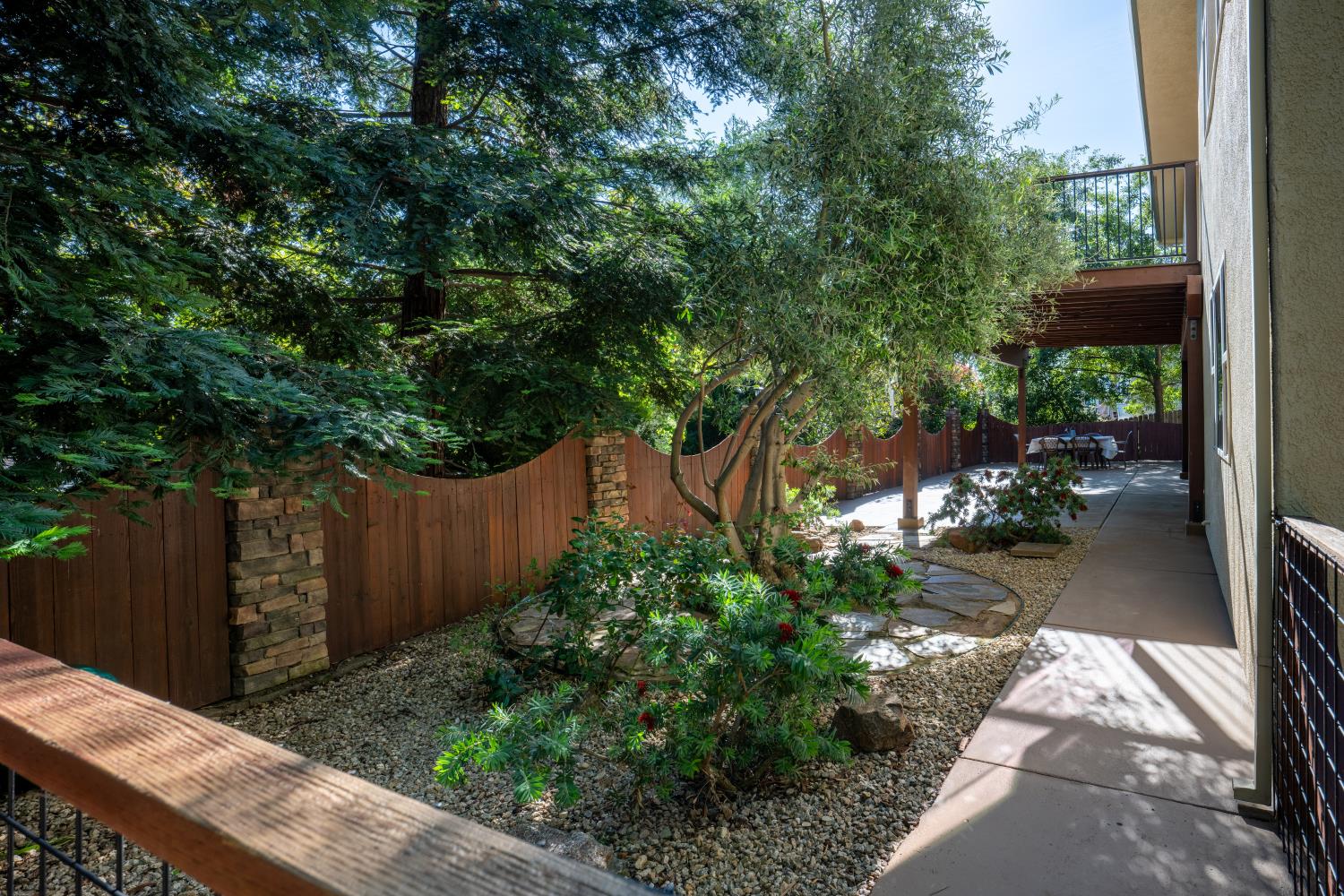 3388 Sudbury Road Cameron Park, CA 95682 - Photo 35 of 47 a view of a backyard with potted plants and large tree