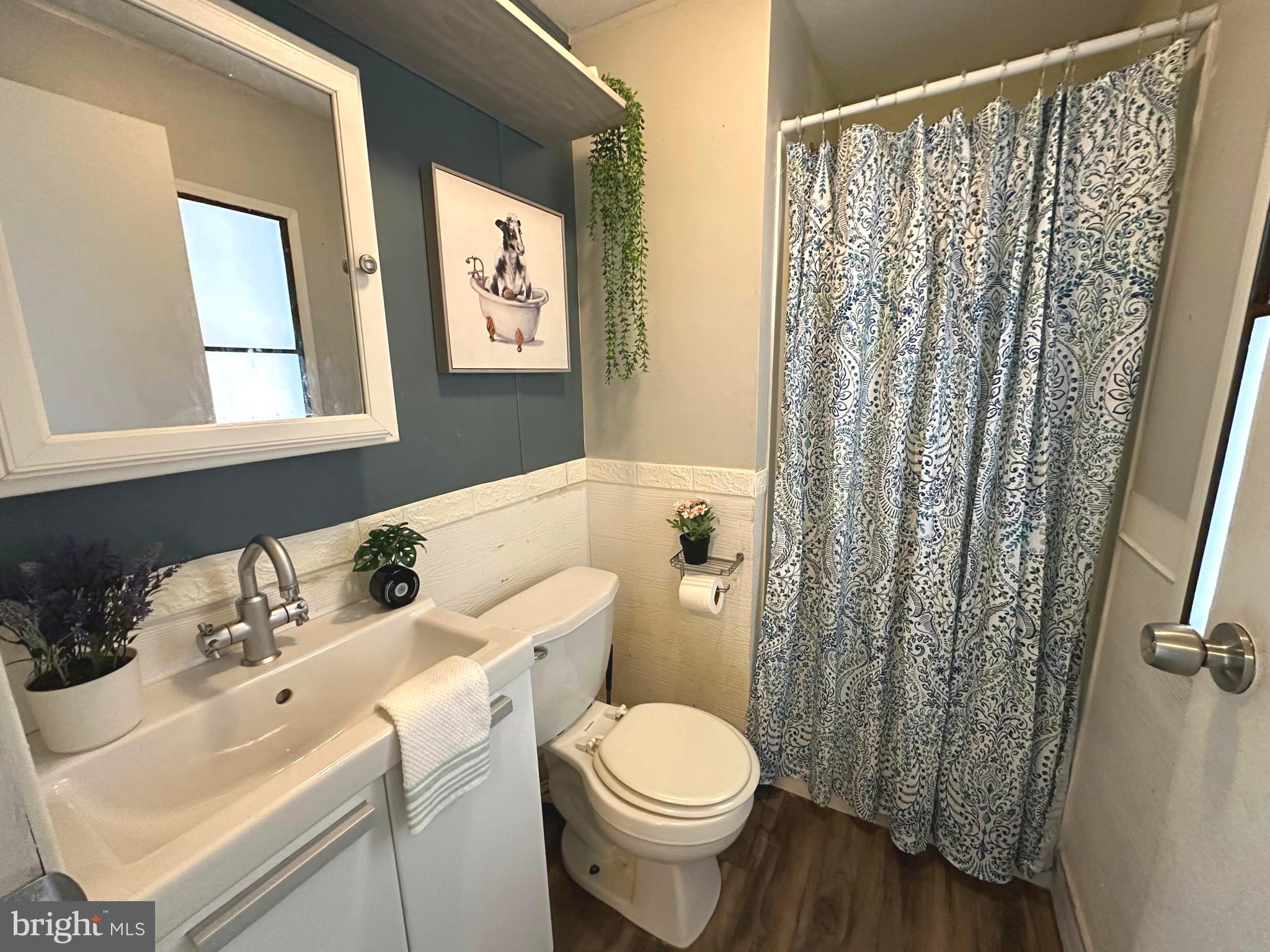 3532 Wagon Train Road Middle River, MD 21220 - Photo 20 of 28 Hall full bath with stand up shower
