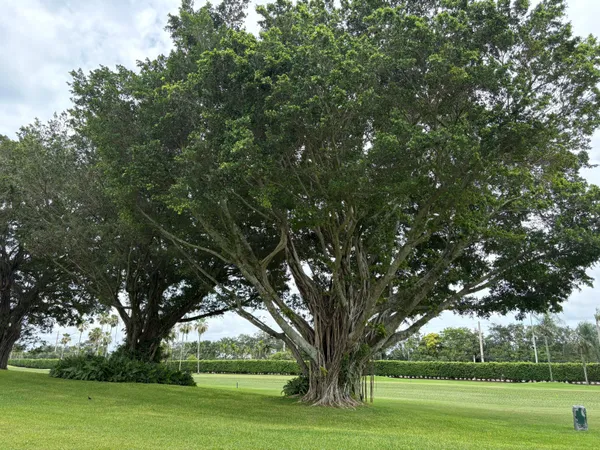 $1,750 | 9820 South Hollybrook Lake Drive, Unit 110, Pembroke Pines, FL 33025