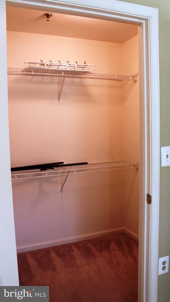 5575 Seminary Road, Unit 203 Falls Church, VA 22041 - Photo 14 of 23 WALK IN CLOSET
