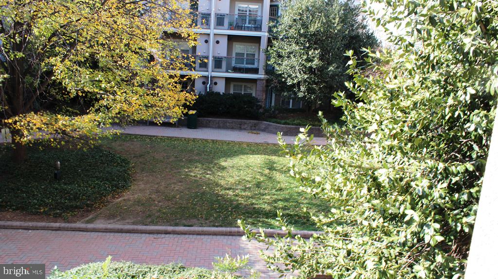 5575 Seminary Road, Unit 203 Falls Church, VA 22041 - Photo 3 of 23 COURTYARD VIEW