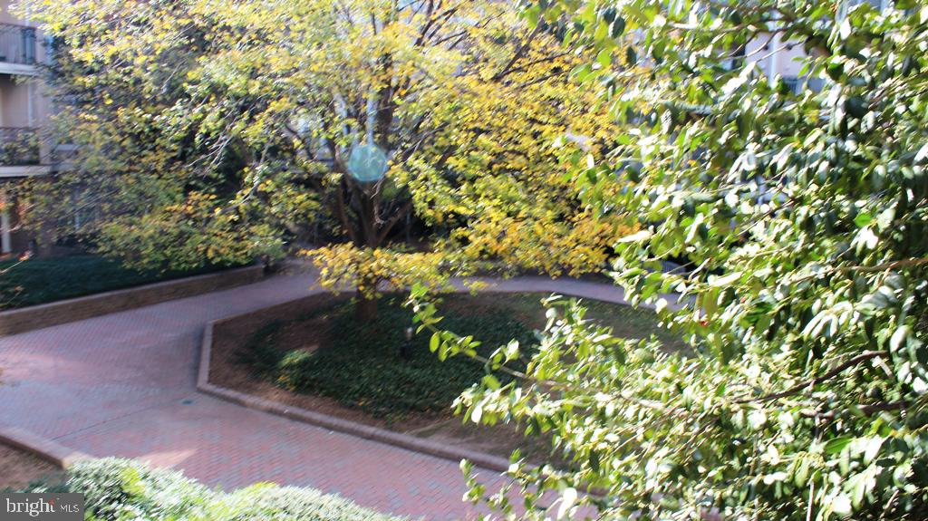 5575 Seminary Road, Unit 203 Falls Church, VA 22041 - Photo 4 of 23 COURTYARD VIEWS