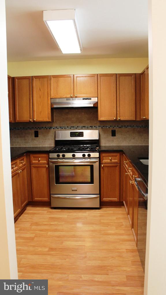 5575 Seminary Road, Unit 203 Falls Church, VA 22041 - Photo 9 of 23 GRANITE COUNTERS & SS APPLIANCES