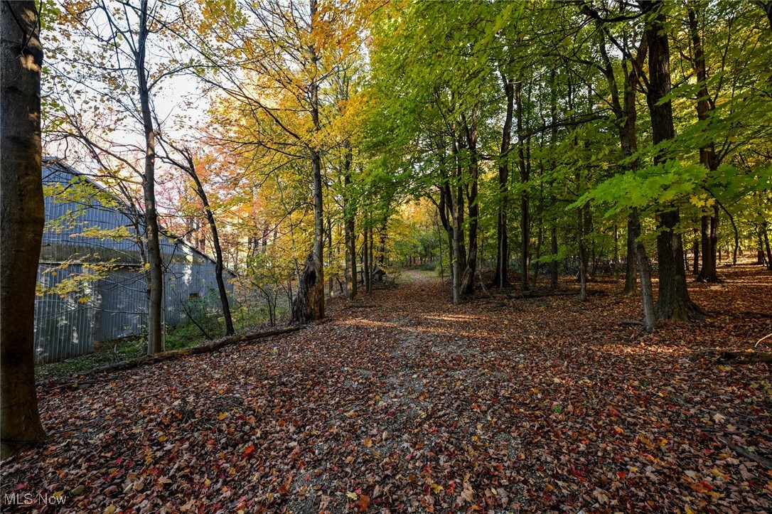 30875 Cannon Road Solon, OH 44139 - Photo 12 of 48 Trail leading to Metroparks bridle trails