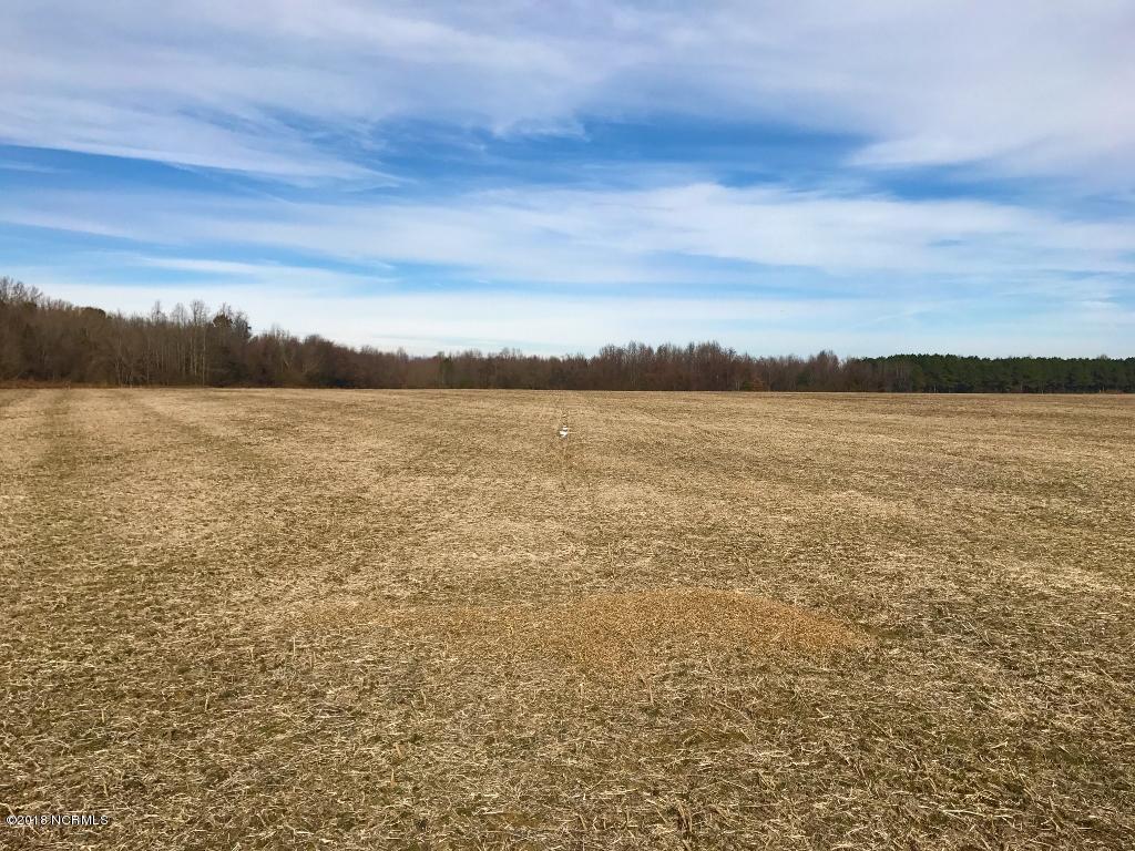 641 Lindell Road Stantonsburg, NC 27883 - Photo 1 of 50 Main
