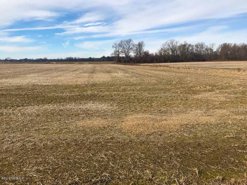 641 Lindell Road Stantonsburg, NC 27883 - Photo 2 of 50 2 (1024x768)