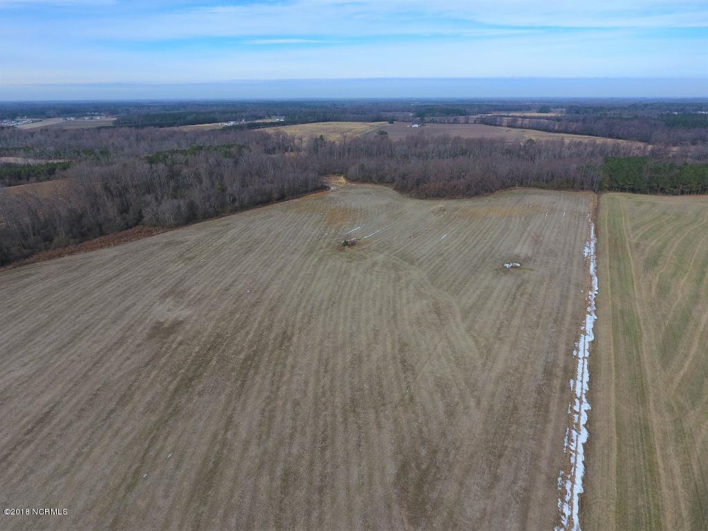 641 Lindell Road Stantonsburg, NC 27883 - Photo 23 of 50 23 (1024x768)