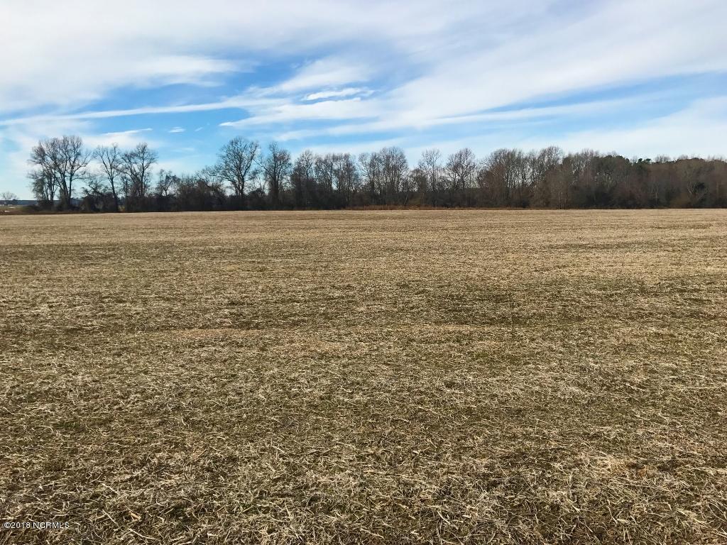 641 Lindell Road Stantonsburg, NC 27883 - Photo 3 of 50 3 (1024x768)