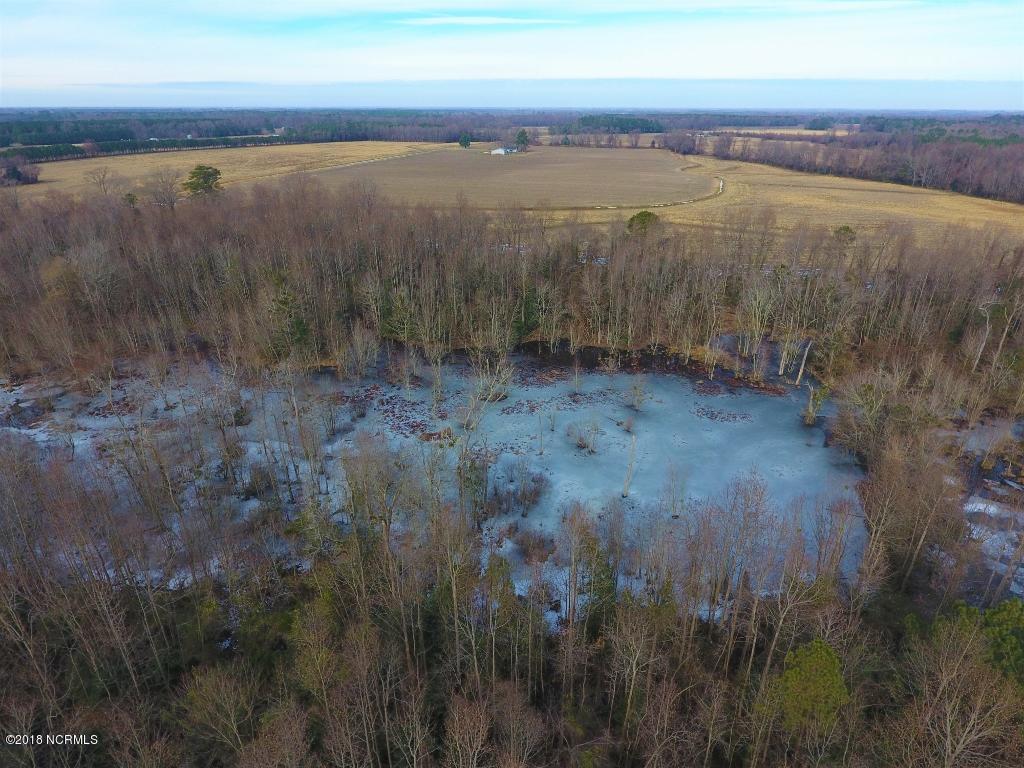 641 Lindell Road Stantonsburg, NC 27883 - Photo 35 of 50 35 (1024x768)