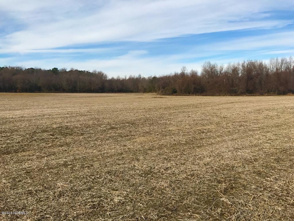 641 Lindell Road Stantonsburg, NC 27883 - Photo 4 of 50 4 (1024x768)