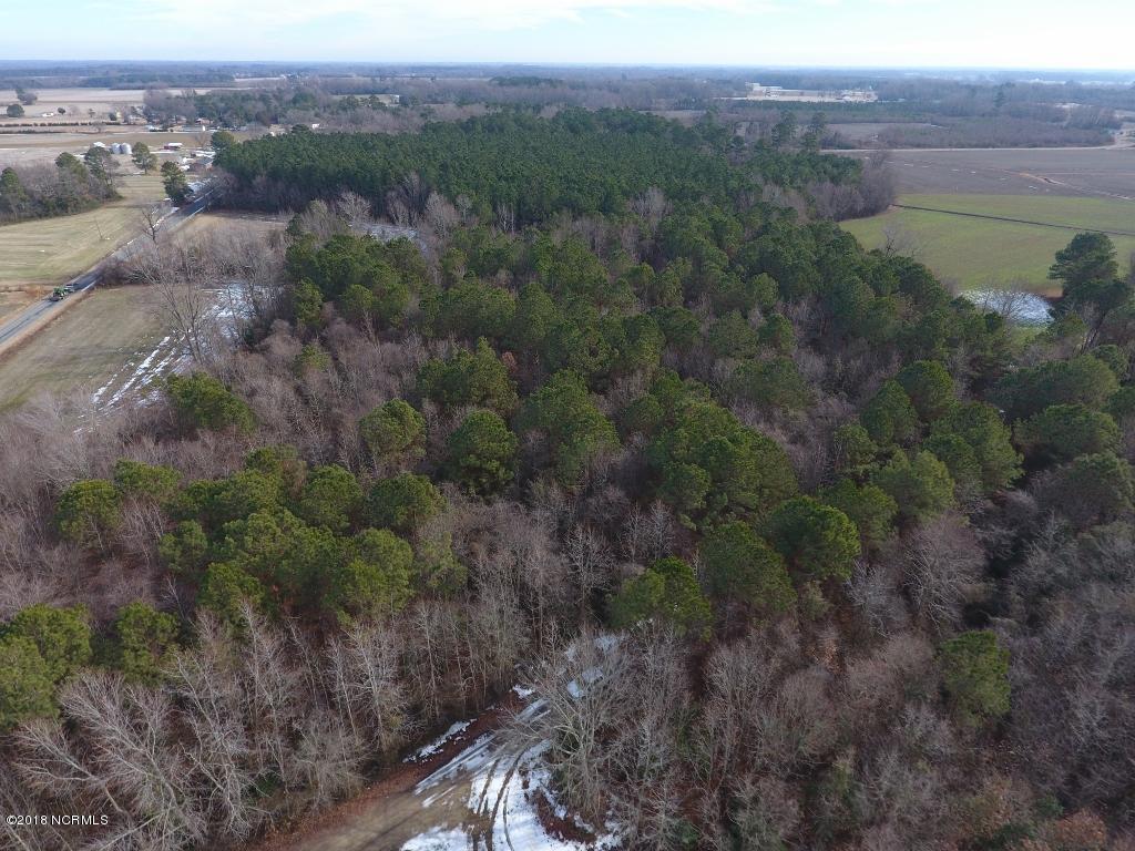641 Lindell Road Stantonsburg, NC 27883 - Photo 46 of 50 46 (1024x768)