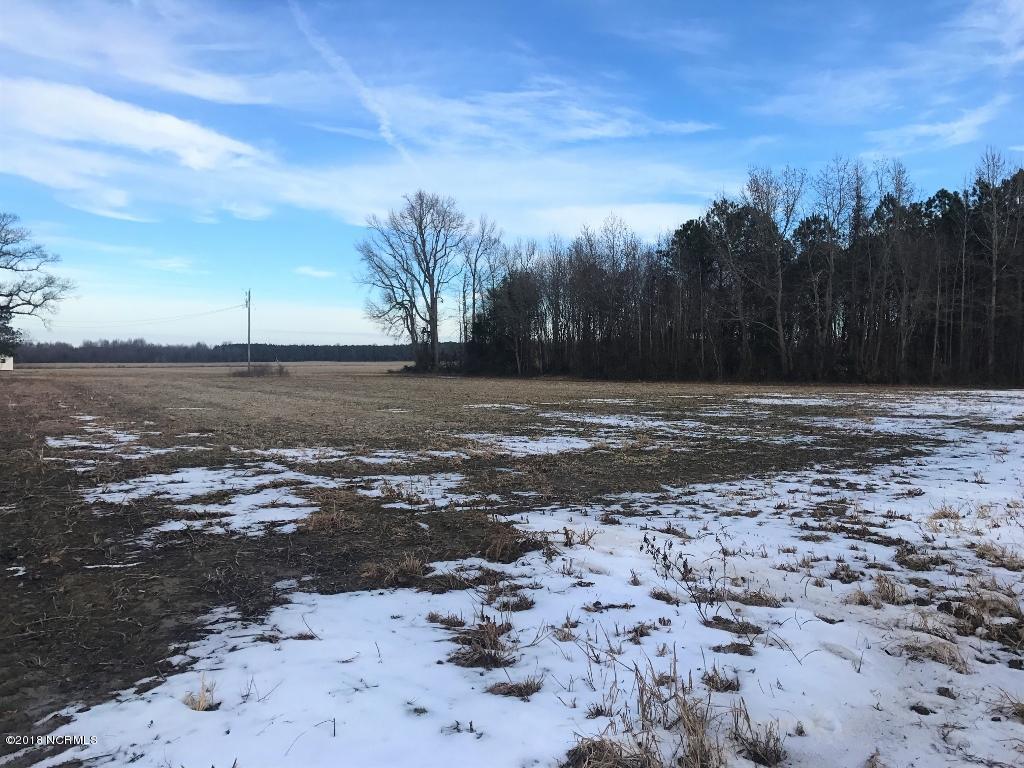 641 Lindell Road Stantonsburg, NC 27883 - Photo 8 of 50 8 (1024x768)