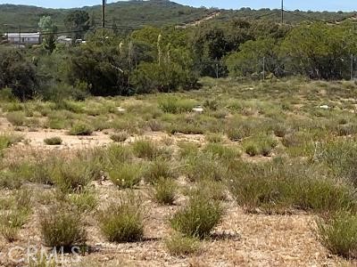 19 Higgins Road Anza, CA 92539 - Photo 14 of 18 a view of a dry yard with green space