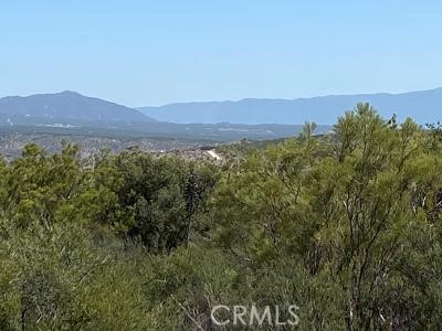 19 Higgins Road Anza, CA 92539 - Photo 15 of 18 a view of a lush green field with mountains in the background