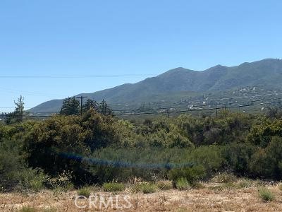 19 Higgins Road Anza, CA 92539 - Photo 16 of 18 a view of a forest with mountains in the background