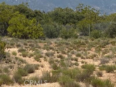 19 Higgins Road Anza, CA 92539 - Photo 3 of 18 a view of a forest