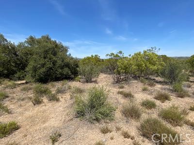 19 Higgins Road Anza, CA 92539 - Photo 7 of 18 a view of a yard with a tree