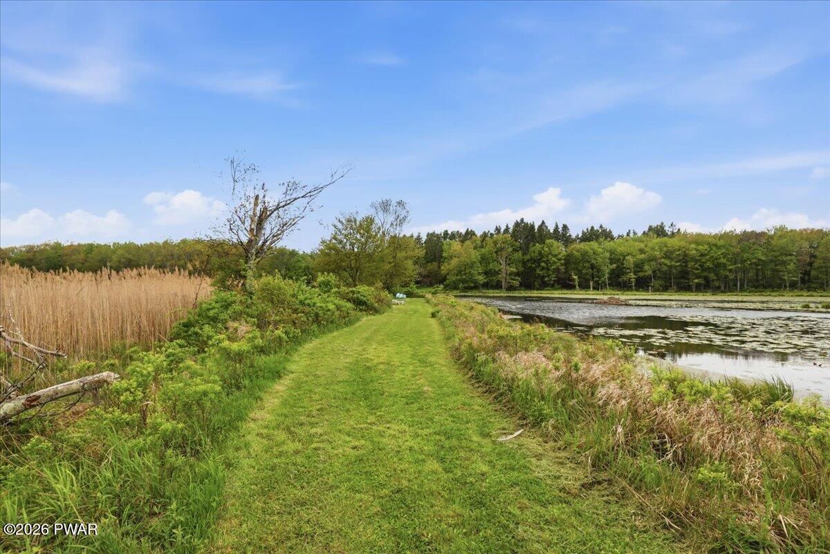 103 Forever Green Road Lakeville, PA 18438 - Photo 58 of 179