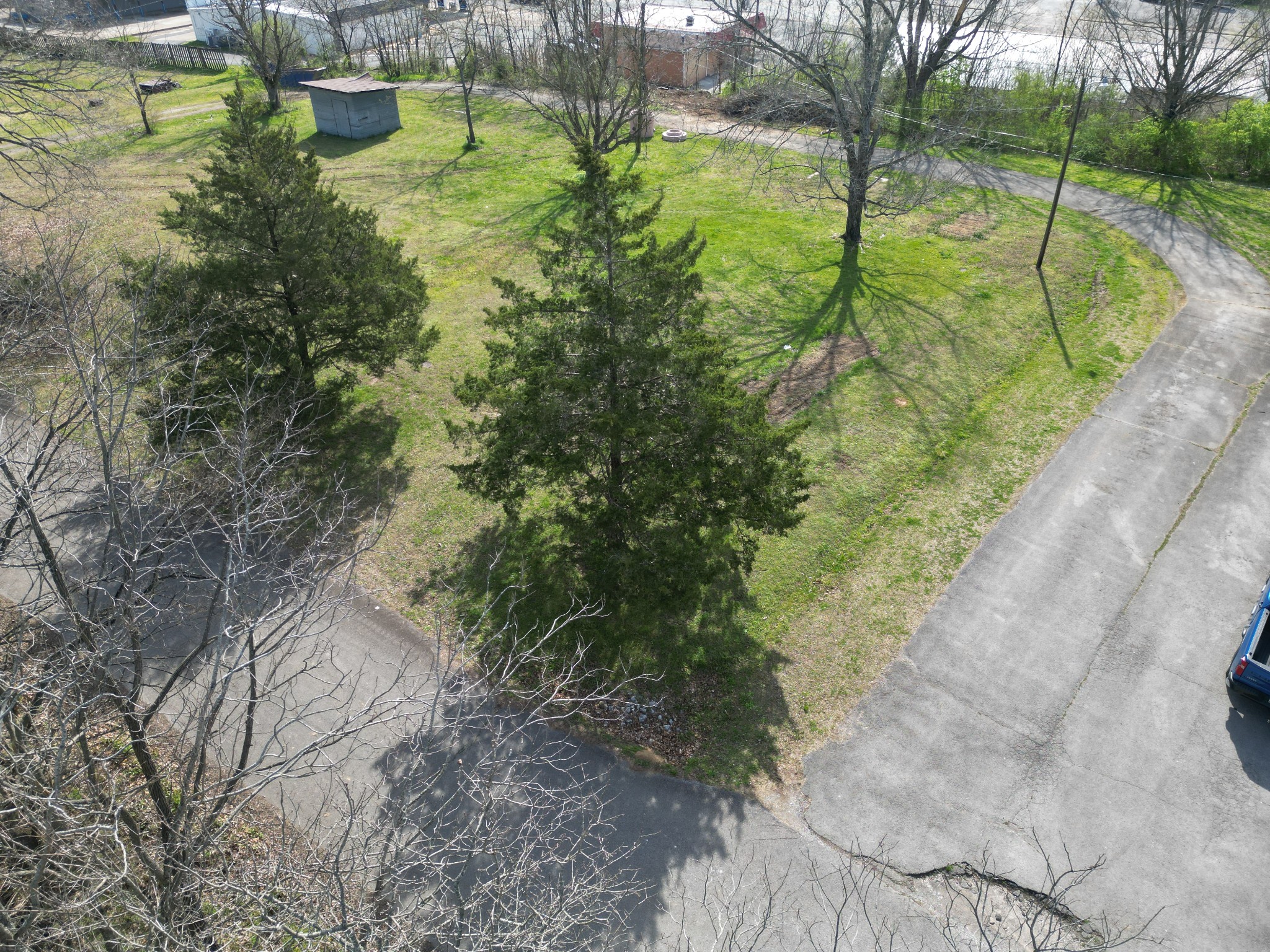 A Roney Avenue Hohenwald, TN 38462 - Photo 3 of 9