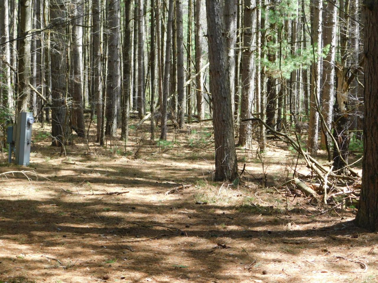 W3590 Sunny Point Road Tomahawk, WI 54487 - Photo 6 of 10 Gallery Image 6