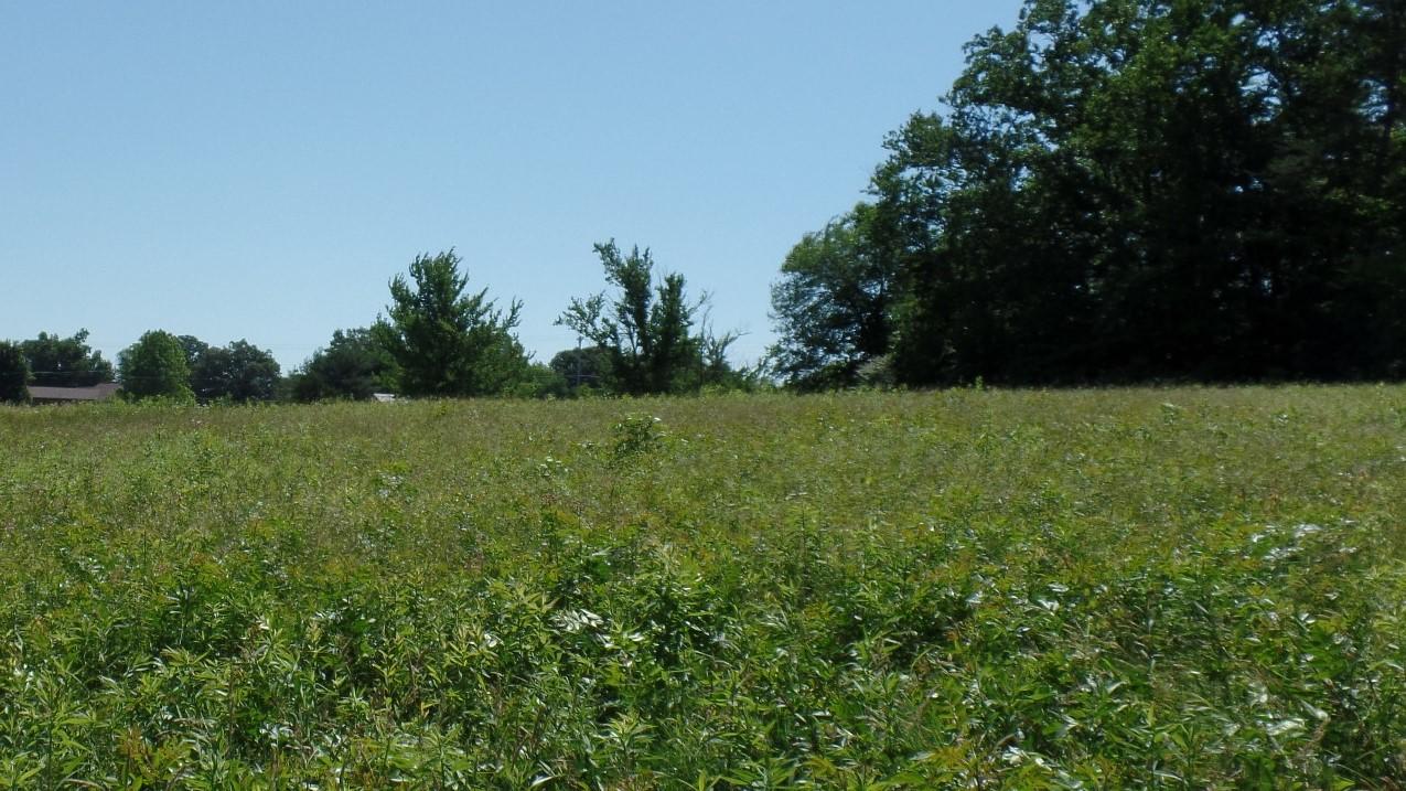 127 N Ed Houston Road Crossville, TN 38571 - Photo 4 of 10 4