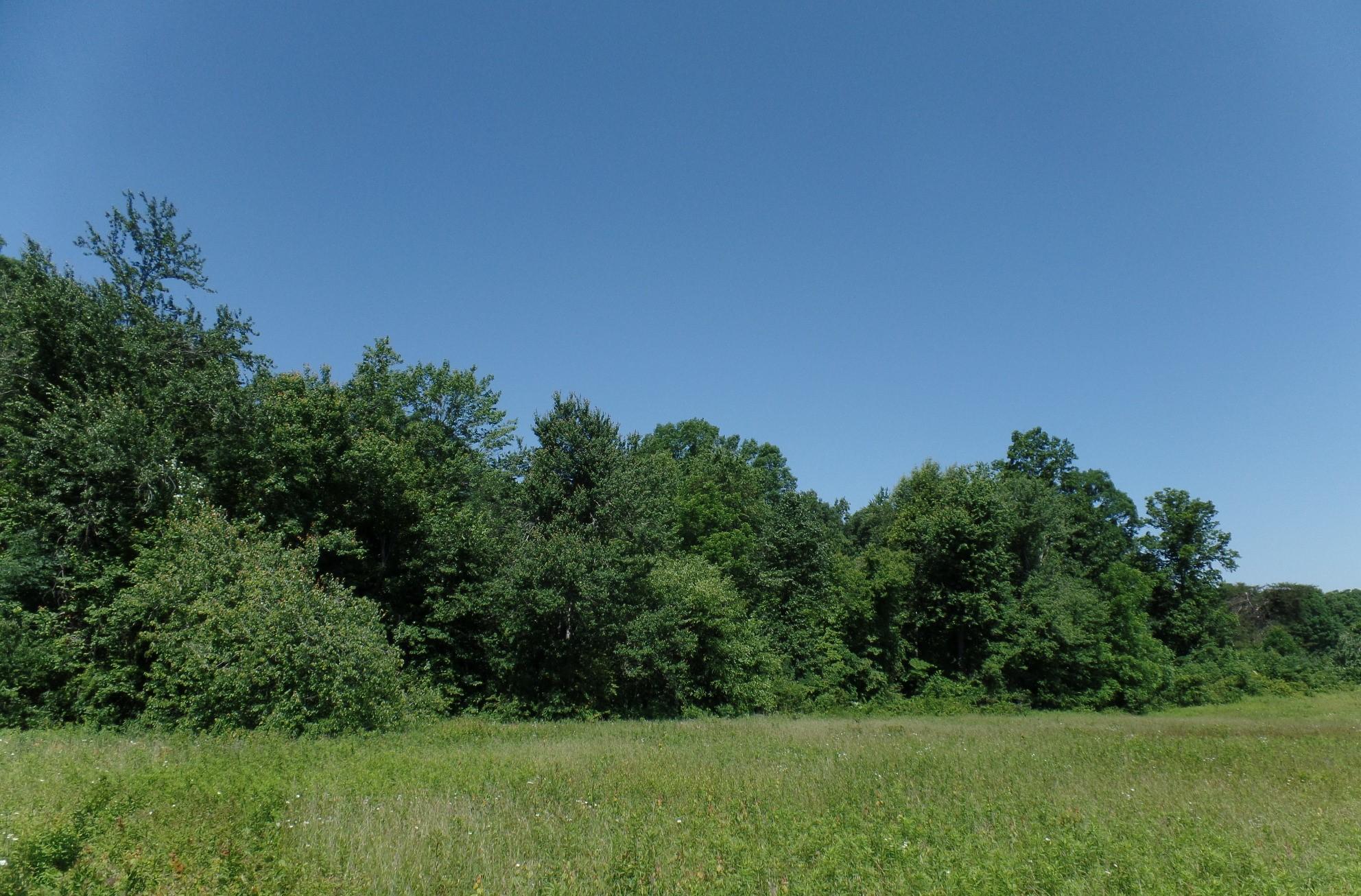 127 N Ed Houston Road Crossville, TN 38571 - Photo 6 of 10 6