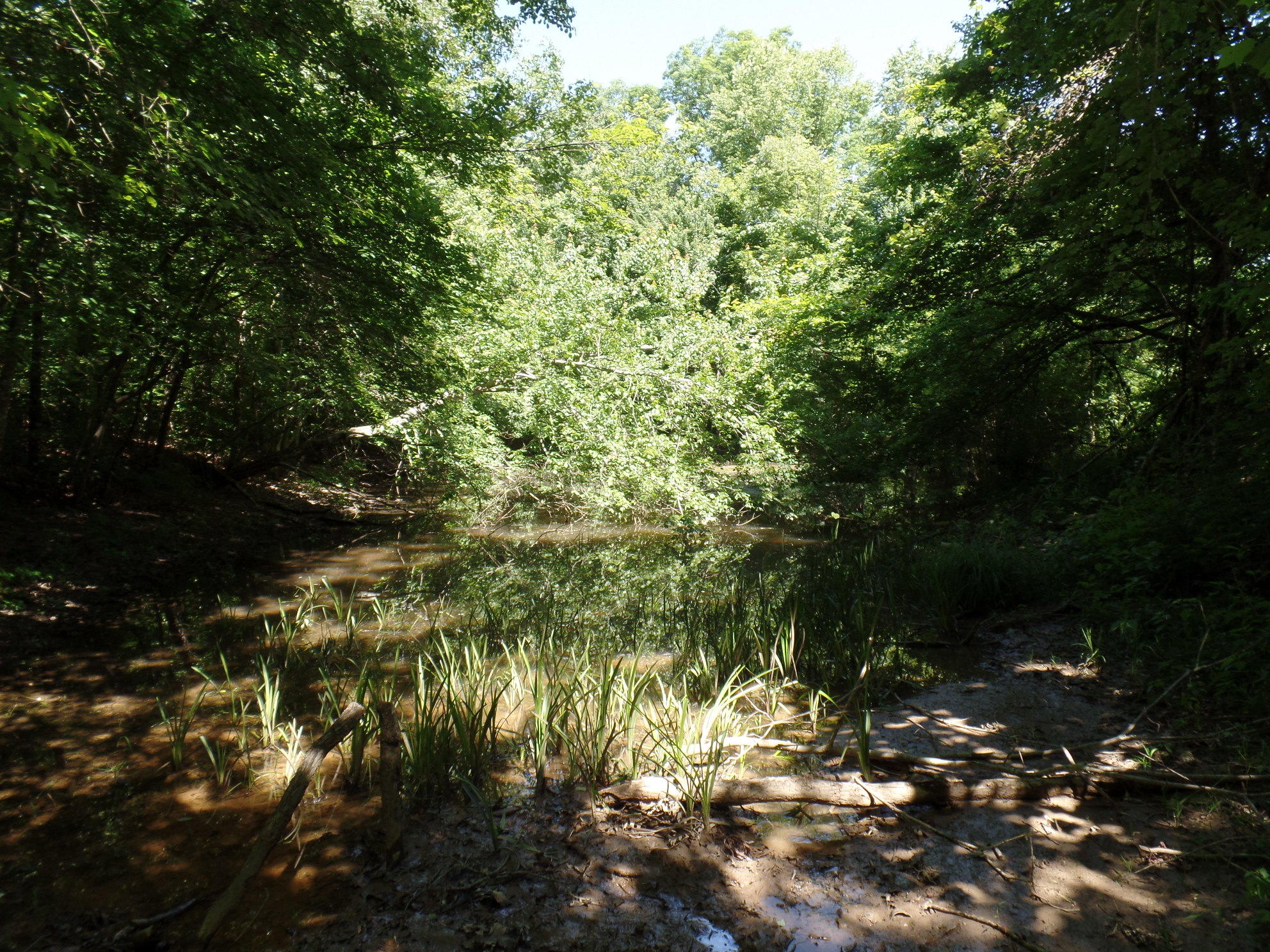 127 N Ed Houston Road Crossville, TN 38571 - Photo 8 of 10 8