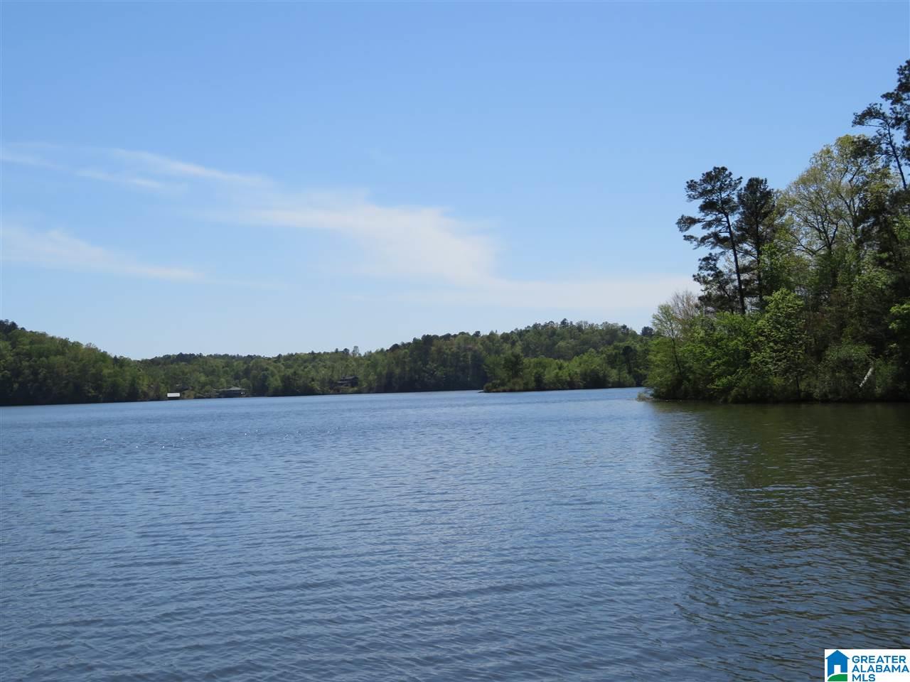 Lot 15 Eagle Point Trace, Unit 15 Alexander City, AL 35010 - Photo 7 of 11