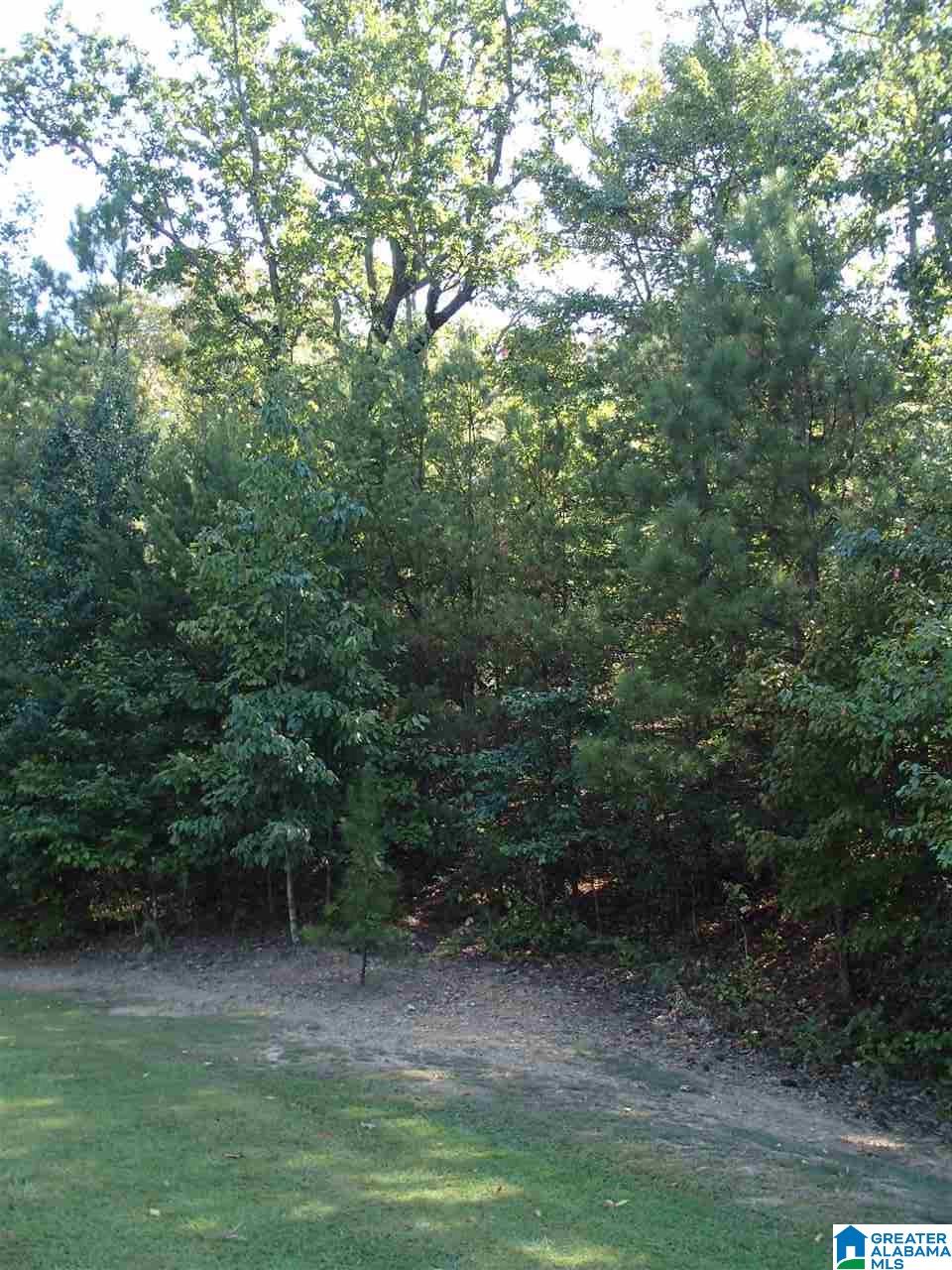 8025 Castlehill Road, Unit 8025 Birmingham, AL 35242 - Photo 3 of 7