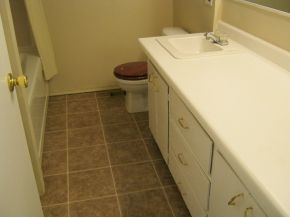 400 Ridgefields Road, Unit 388 Kingsport, TN 37660 - Photo 13 of 24 Spacious bath