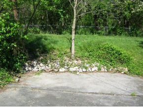 400 Ridgefields Road, Unit 388 Kingsport, TN 37660 - Photo 24 of 24 Room for a garden flowers