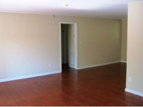 400 Ridgefields Road, Unit 388 Kingsport, TN 37660 - Photo 10 of 24 Loads of open space
