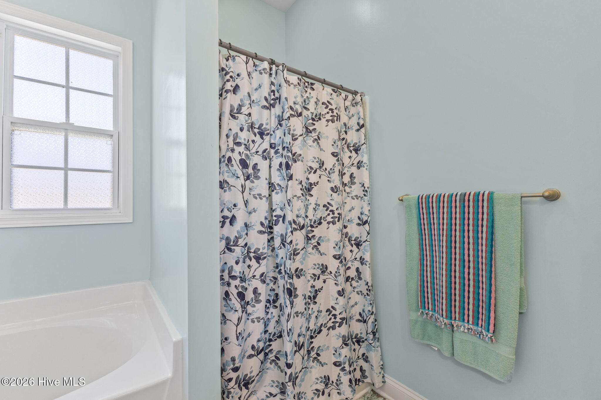 205 Mango Place South Hubert, NC 28539 - Photo 17 of 31 primary bath